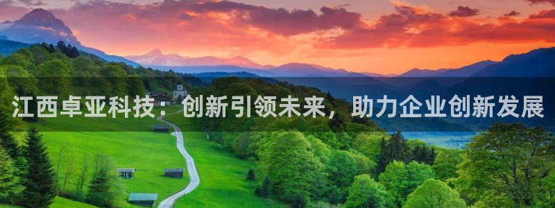 江西卓亚科技：创新引领未来，助力企业创新发展