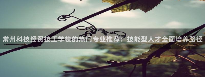常州科技经贸技工学校的热门专业推荐：技能型人才全面培养路径