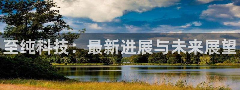 至纯科技：最新进展与未来展望