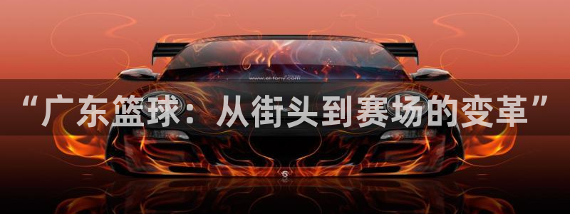 “广东篮球：从街头到赛场的变革”