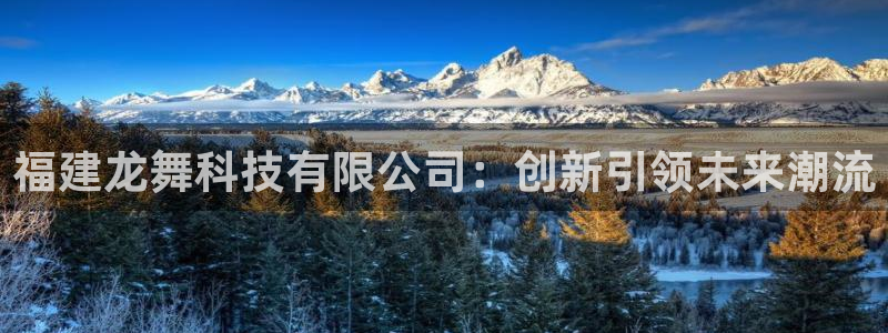 福建龙舞科技有限公司：创新引领未来潮流