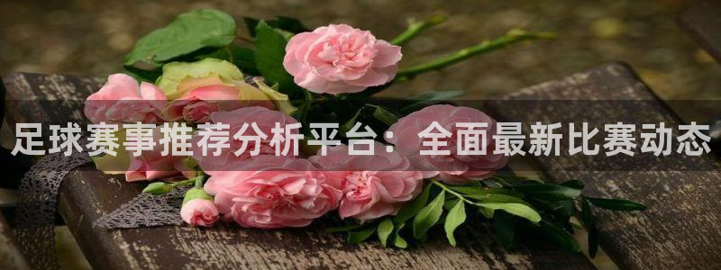 足球赛事推荐分析平台：全面最新比赛动态
