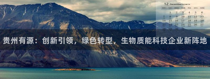 贵州有源：创新引领，绿色转型，生物质能科技企业新阵地