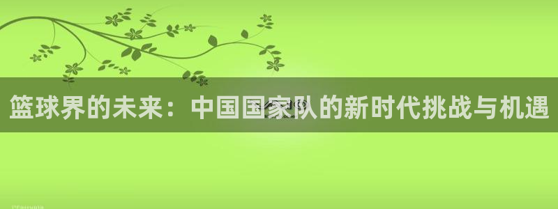 篮球界的未来：中国国家队的新时代挑战与机遇