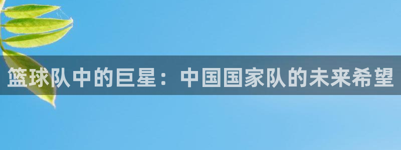 篮球队中的巨星：中国国家队的未来希望