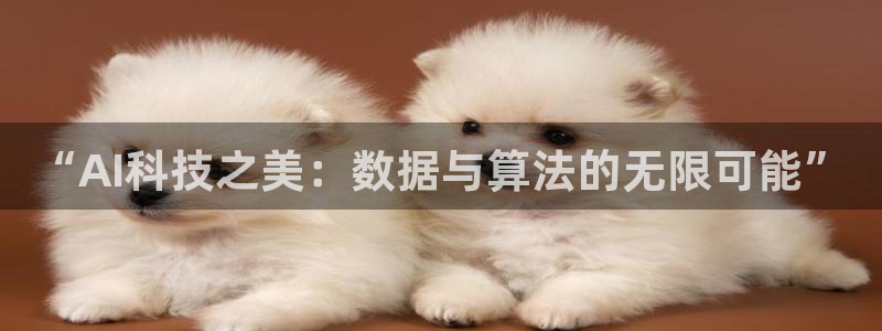 “AI科技之美：数据与算法的无限可能”