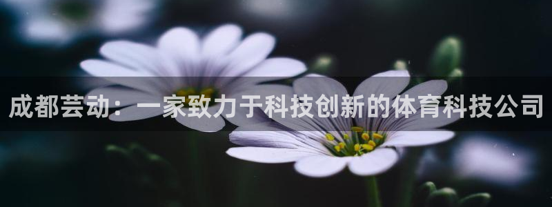 成都芸动：一家致力于科技创新的体育科技公司
