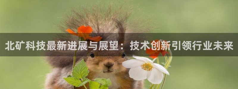北矿科技最新进展与展望：技术创新引领行业未来