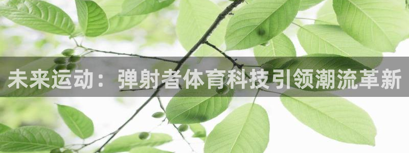 未来运动：弹射者体育科技引领潮流革新
