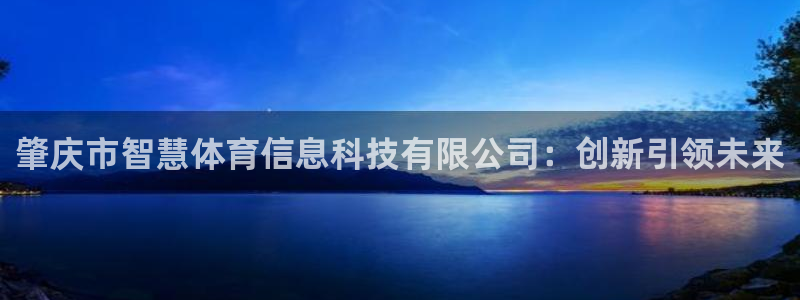 肇庆市智慧体育信息科技有限公司：创新引领未来