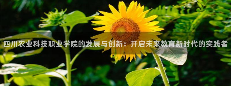 四川农业科技职业学院的发展与创新：开启未来教育新时代的实践者