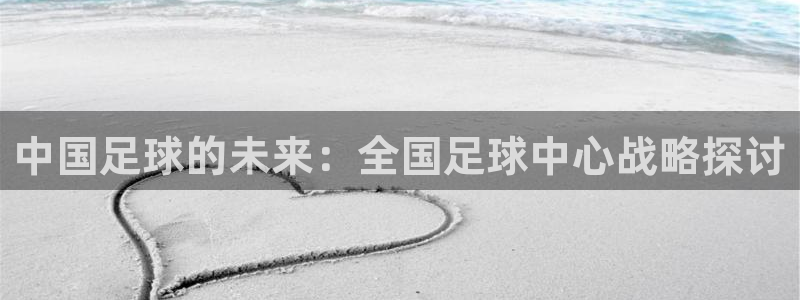 中国足球的未来：全国足球中心战略探讨