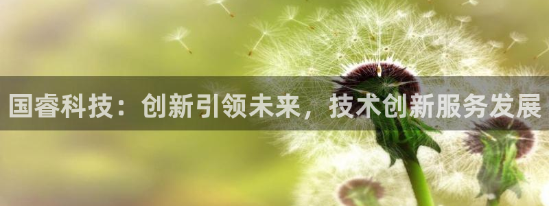 国睿科技：创新引领未来，技术创新服务发展