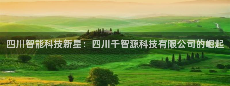 四川智能科技新星：四川千智源科技有限公司的崛起