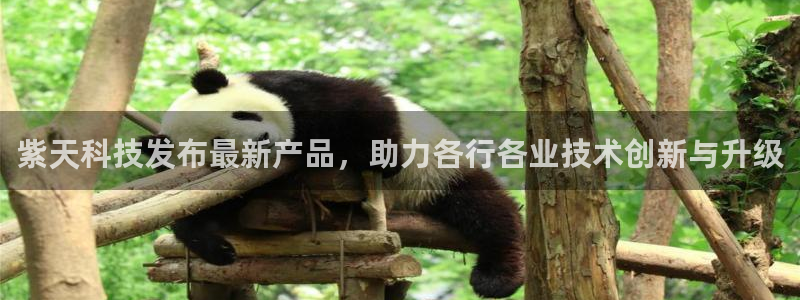 紫天科技发布最新产品，助力各行各业技术创新与升级