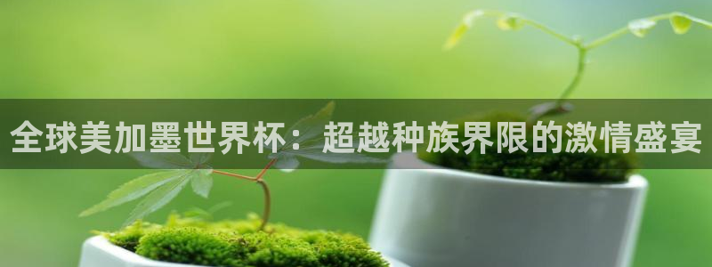 全球美加墨世界杯：超越种族界限的激情盛宴