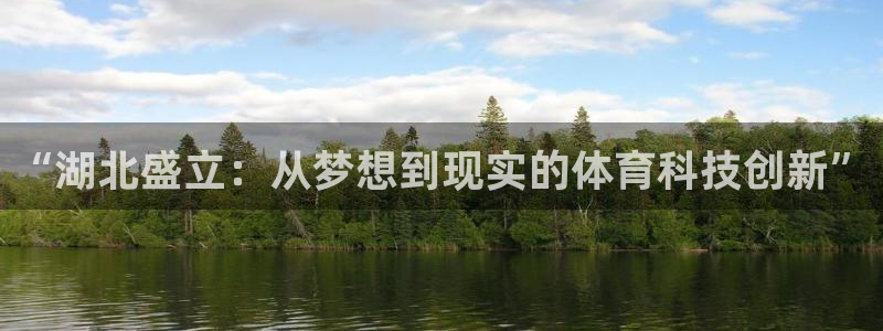 “湖北盛立：从梦想到现实的体育科技创新”